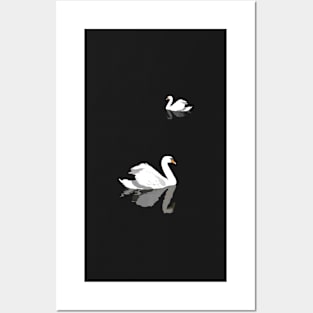 Couple of swans at night Posters and Art